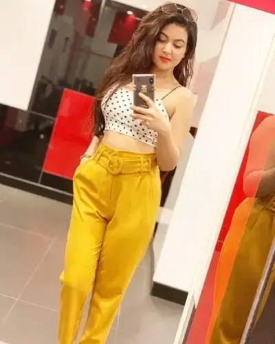 Vasant Kunj Escort Service